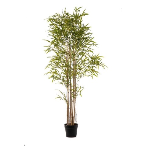 PIANTA BAMBOO 3373 FOGLIE CM.2